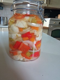 La giardiniera