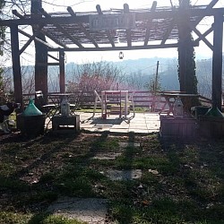 Il giardino d'inverno